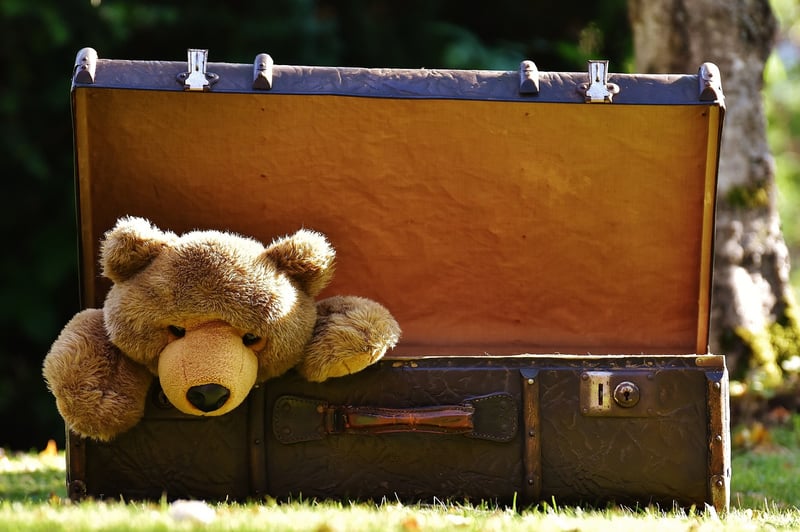 Travel accessories